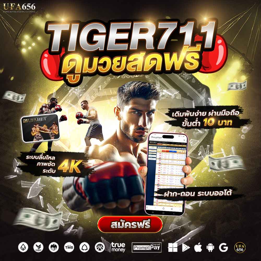 Tiger711