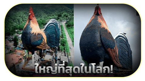 สนามไก่ชนฟิลิปปินส์