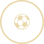 แทงบอล_UFABET800